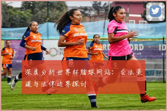 深度分析世界杯赌球网站：合法渠道与法律边界探讨