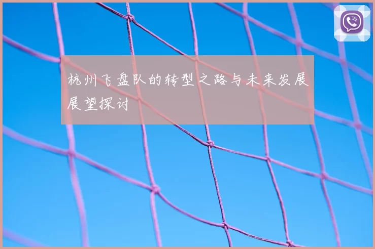 杭州飞盘队的转型之路与未来发展展望探讨