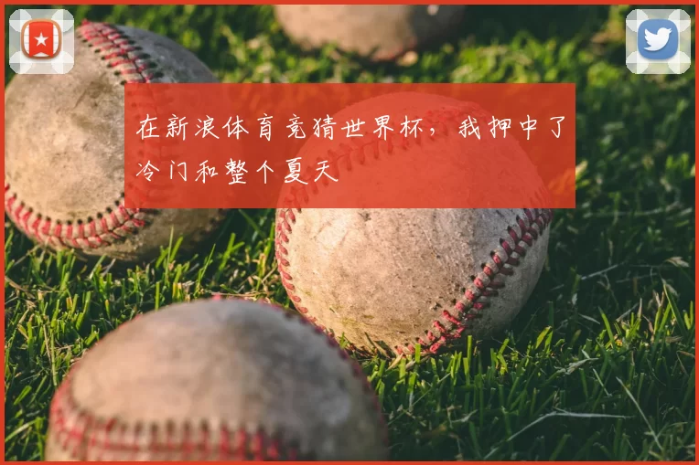 在新浪体育竞猜世界杯，我押中了冷门和整个夏天
