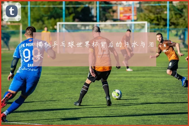 揭秘乒乓球世界杯背后的汗水与泪水