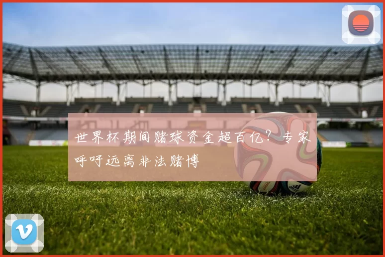 世界杯期间赌球资金超百亿?专家呼吁远离非法赌博
