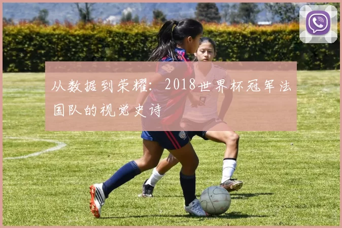 从数据到荣耀:2018世界杯冠军法国队的视觉史诗