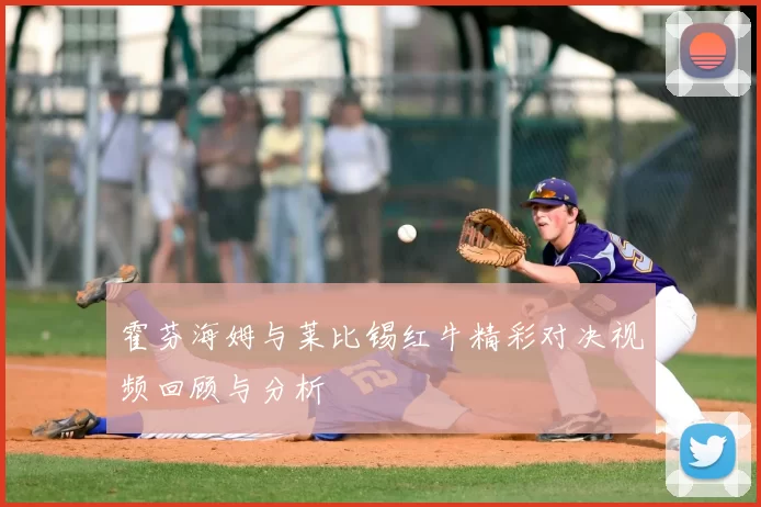 霍芬海姆与莱比锡红牛精彩对决视频回顾与分析