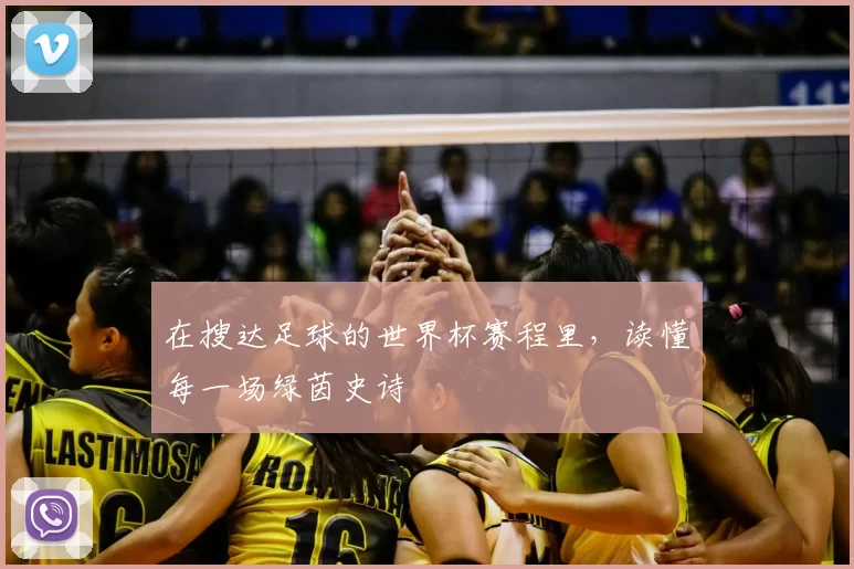 在搜达足球的世界杯赛程里，读懂每一场绿茵史诗
