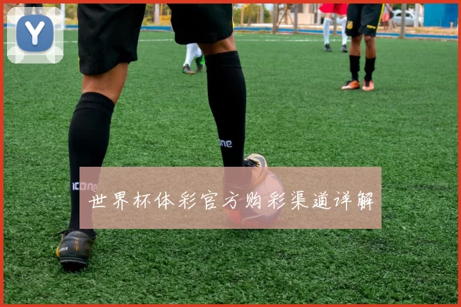 世界杯体彩官方购彩渠道详解