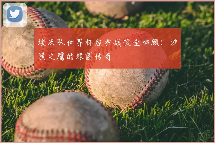 埃及队世界杯经典战役全回顾:沙漠之鹰的绿茵传奇