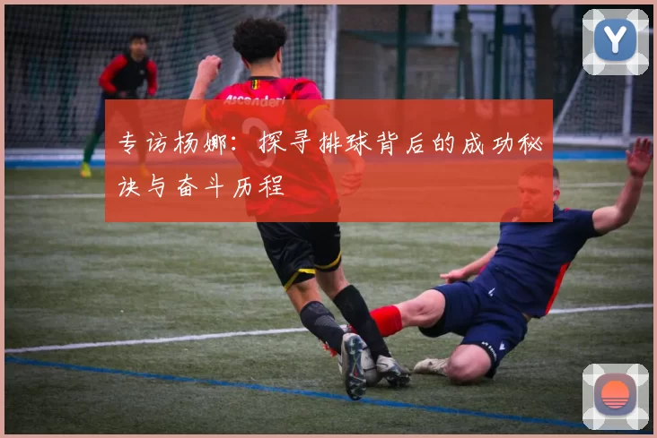 专访杨娜:探寻排球背后的成功秘诀与奋斗历程