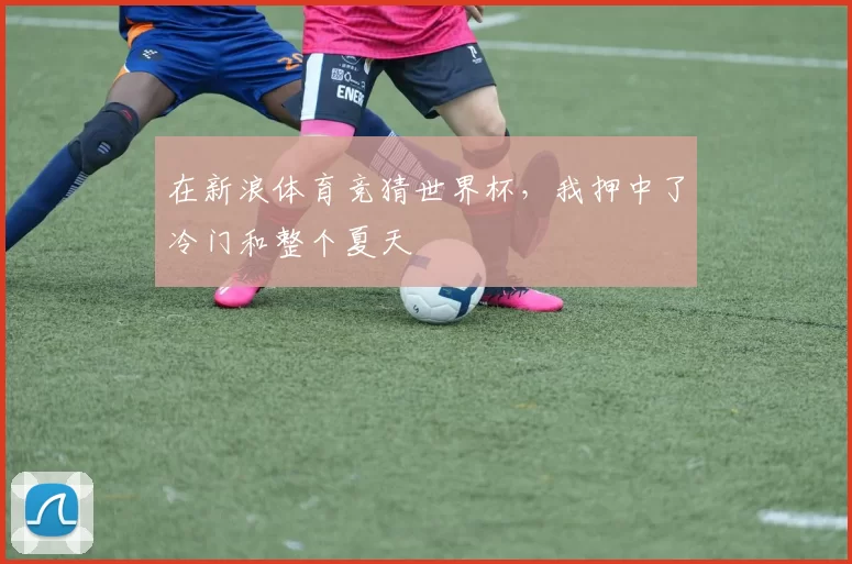 在新浪体育竞猜世界杯，我押中了冷门和整个夏天