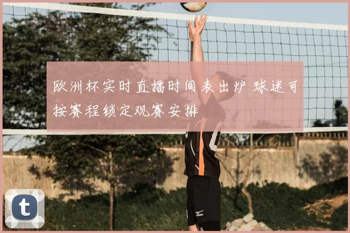 欧洲杯实时直播时间表出炉 球迷可按赛程锁定观赛安排