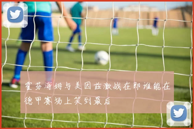 霍芬海姆与美因兹激战在即谁能在德甲赛场上笑到最后