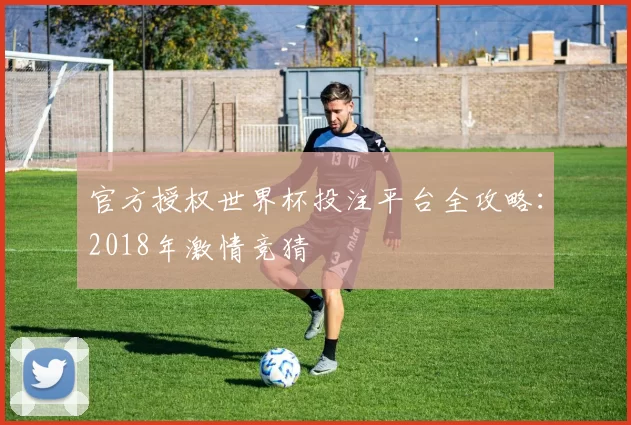 官方授权世界杯投注平台全攻略：2018年激情竞猜
