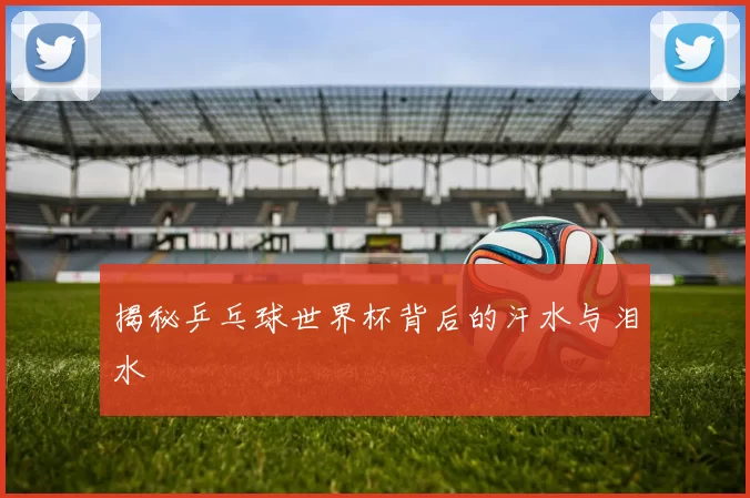 揭秘乒乓球世界杯背后的汗水与泪水